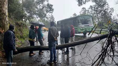 உதகை-கோத்தகிரி சாலையில் சாலையின் குறுக்கே விழுந்து கிடக்கும் மரம்.