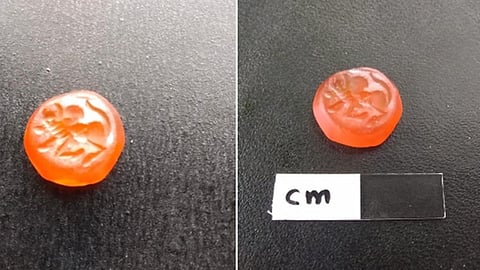 சூதுபவள மணியில் சீறும் திமிலுள்ள காளை.