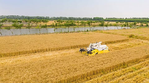 கோப்புப் படம்