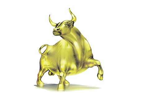 காளை ஆதிக்கம்