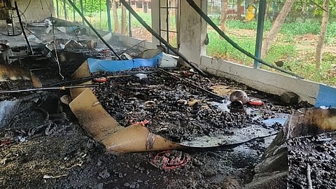 அரியலூரை அடுத்த பொன்பரப்பியிலுள்ள கோழிப்பண்ணையில் புதன்கிழமை ஏற்பட்ட தீ விபத்தில் உயிரிழந்த கோழிக்குஞ்சுகள்.