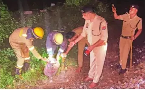 உத்தர பிரதேச மாநிலம் கான்பூர் அருகே தண்டவாளத்தில் வைக்கப்பட்டிருந்த சமையல் எரிவாயு சிலிண்டரை ஞாயிற்றுக்கிழமை இரவு மீட்டு ஆய்வு செய்யும் காவல் துறையினர் மற்றும் தீயணைப்பு வீரர்கள்.