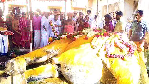 உயிரிழந்த கோயில் யானை சுப்புலட்சுமியின் உடலுக்கு வெள்ளிக்கிழமை மாலையணிவித்து மரியாதை செலுத்திய தமிழக கூட்டுறவுத் துறை அமைச்சா் கேஆா். பெரியகருப்பன், குன்றக்குடி பொன்னம்பல அடிகளாா்.