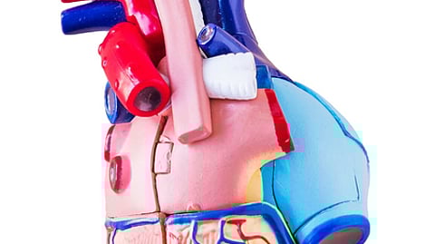 இதய பெருந்தமனி வீக்கத்துக்குள்ளான 800 பேருக்கு மறுவாழ்வு