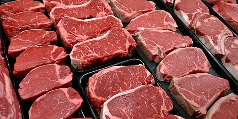 meat