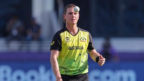 ஆடம் ஸாம்பா (கோப்புப் படம்)