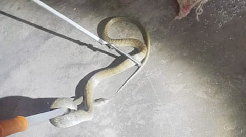 கோப்புப் படம்