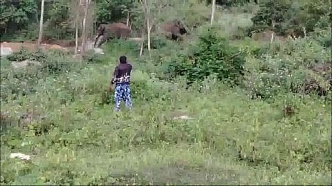 கொடைக்கானல் பேத்துப்பாறை பகுதியில் புகுந்த காட்டு யானைகளை விரட்டும் பணியில் வியாழக்கிழமை ஈடுபட்ட வனத் துறையினா்.