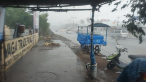 கோவையில் மழை