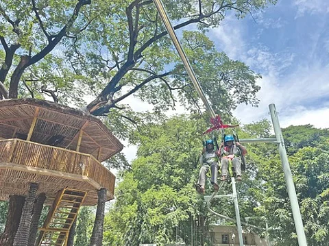 கலைஞர் பூங்கா
