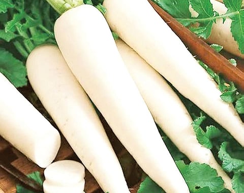 முள்ளங்கி