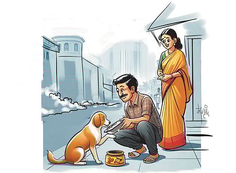 சித்தரிக்கப்பட்டது