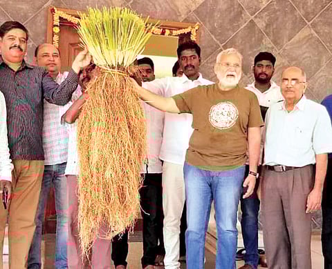 வெட்டிவேர்