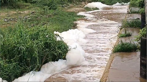 பாலாற்றில் பொங்கிய நுரையுடன் ஓடும் வெள்ளநீர்