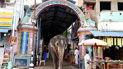 திருநள்ளாறு கோயில் நுழைவுவாயில் சாக்கடை பகுதியை சீரமைக்க வலியுறுத்தல்
