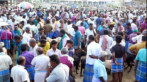விராலிமலை சந்தை.