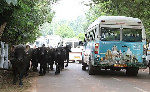 கோப்புப்படம்.