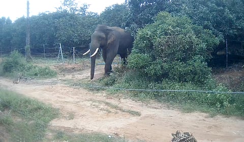 கோப்புப் படம்