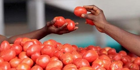 கோப்புப் படம்