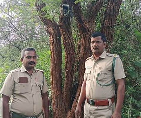 சிறுத்தை நடமாட்டம் உள்ளதா என கண்காணிப்பு கேமரா பொருத்தி கண்காணித்து வரும் வனத்துறையினா்.