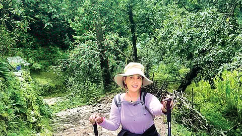 சித்தரிக்கப்பட்டது