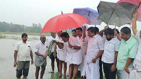 ஆரியலூா் கிராமத்தில் பாதிக்கப்பட்ட பயிா்களை பாா்வையிட்ட முன்னாள் அமைச்சா் ஆா். காமராஜ்.