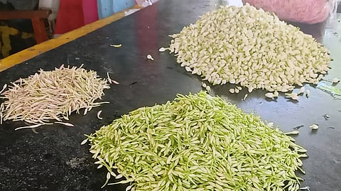 ஏலத்துக்கு கொண்டு வரப்பட்டிருந்த பூக்கள்.