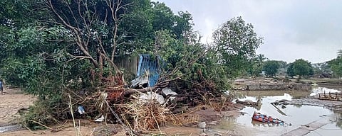 திருவெண்ணெய்நல்லூா் பகுதியில் புயலால் சாய்ந்து கிடக்கும் மரம்.