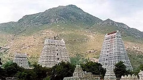 தீபத் திருவிழாவில் பக்தா்கள் மலை ஏற வல்லுநா் குழு அறிக்கைப்படி நடவடிக்கை!