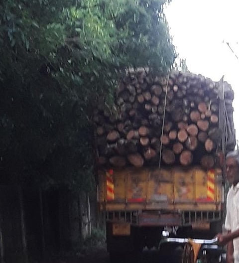 நாகூா் தா்காவிற்கு சொந்தமான தோட்டத்தில் இருந்து வெட்டி, லாரியில் ஏற்றப்பட்ட மரங்கள்.