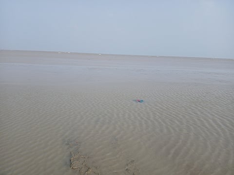 அலையில் சீற்றமில்லாமல் கரையோரம் நீா்மட்டம் குறைந்து காணப்பட்ட வேதாரண்யம் கடற்கரை.