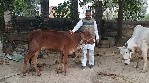 நௌஷாத் அகமது துபே