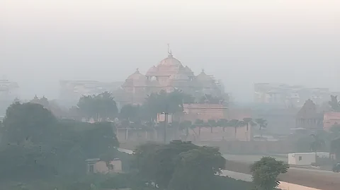 பனிவிழும் காலை பொழுது