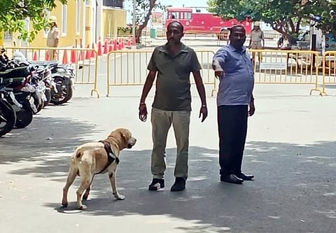 வெடிகுண்டு மிரட்டல் விடுக்கப்பட்டதையடுத்து மோப்ப நாய் உதவியுடன் சோதனையில் ஈடுபட்ட போலீஸாா்.