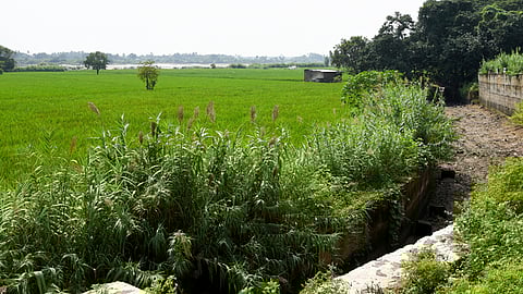 கோப்புப் படம்