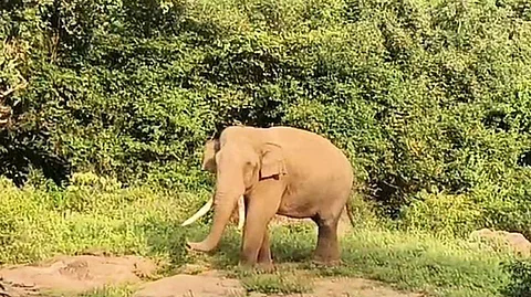 கோப்புப் படம்