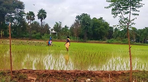 வேளாண்.