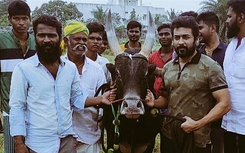 வாடிவாசல் அப்டேட்!