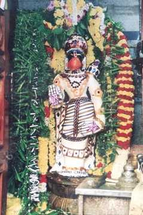 செங்கல்பட்டு கோயில்களில் அனுமன் ஜெயந்தி விழா