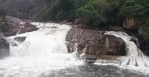 மணிமுத்தாறு அருவியில் செவ்வாய்க்கிழமை அதிகரித்த நீா்வரத்து.