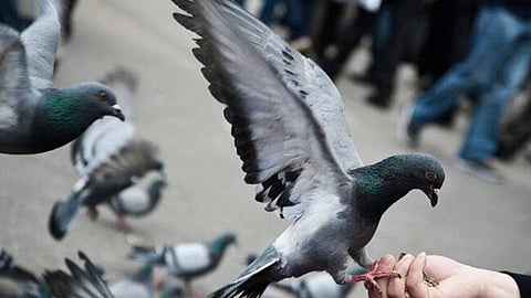 கோப்புப் படம்