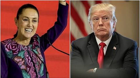 கிளாடியா ஷேன்பாம் - டொனால்ட் டிரம்ப்