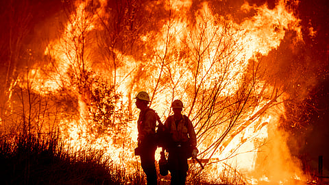 தீயை அணைக்கும் முயற்சியில் தீயணைப்பு வீரர்கள்
