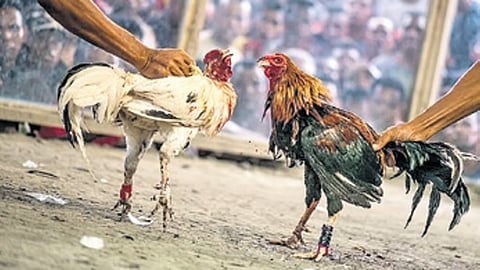 கோப்புப் படம்