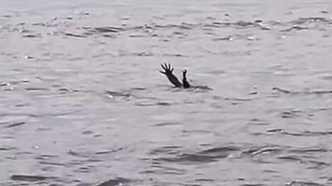 வைரலான விடியோவிலிருந்து..