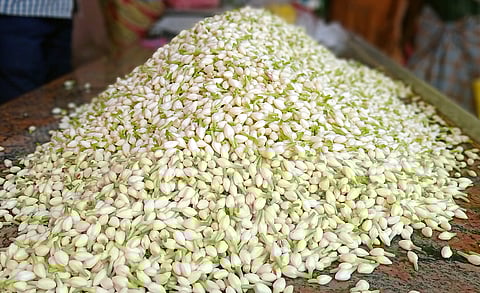 ஏலத்துக்கு கொண்டு வரப்பட்ட குண்டு மல்லி.