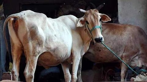 கோப்புப் படம்