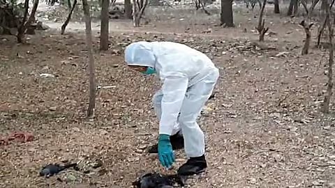 கோப்புப் படம்