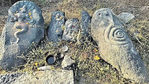 காகதீயர் காலத்தைச் சேர்ந்த ஐந்து நாக சிற்பங்கள்