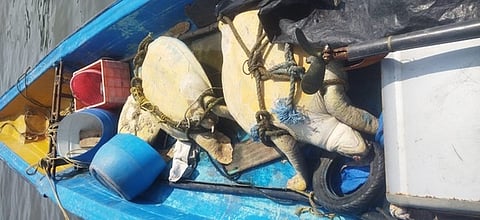 தூத்துக்குடி பழைய துறைமுகம் கடற்கரை அருகே கரையில் நிறுத்தி வைக்கப்பட்டிருந்த படகில் இருந்த 3 அரியவகை கடல் ஆமைகளை வனத்துறையினா் திங்கள்கிழமை உயிருடன் மீட்டனா்.